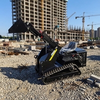 Mini-chargeuse sur chenilles T490 à moteur diesel, capacité de charge nominale de 250 kg, norme EPA EURO5, forte puissance de creusement pour la ferme et le jardin, directement de l'usine
