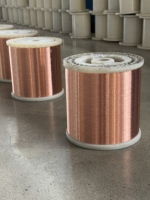 Kabel Tembaga Berlapis Aluminium (CCA) Inti Tunggal Premium untuk Kabel Data dan Kabel Internal Elektronik