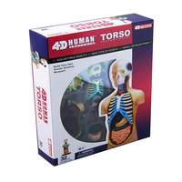 Modelo de Torso humano 4D, rompecabezas maestro, juguete de ensamblaje de anatomía médica