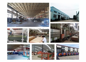 OSHA thông <span class=keywords><strong>lvl</strong></span> bằng gỗ giàn giáo bước bảng trong trung quốc - Product Image 5