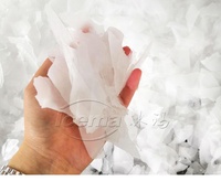 Machine à glace en flocons de neige conteneurisée de 50 tonnes/jour pour la Chine, pour le refroidissement, avec prix d'usine