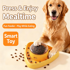 New Arrival Eco-Friendly Slow <strong>Feeder</strong> Treat Dispensing Box Interactive <strong>Dog</strong> <strong>Puzzle</strong> <strong>Feeder</strong> Toy for <strong>Dogs</strong> &amp; Cats - Product Image 5