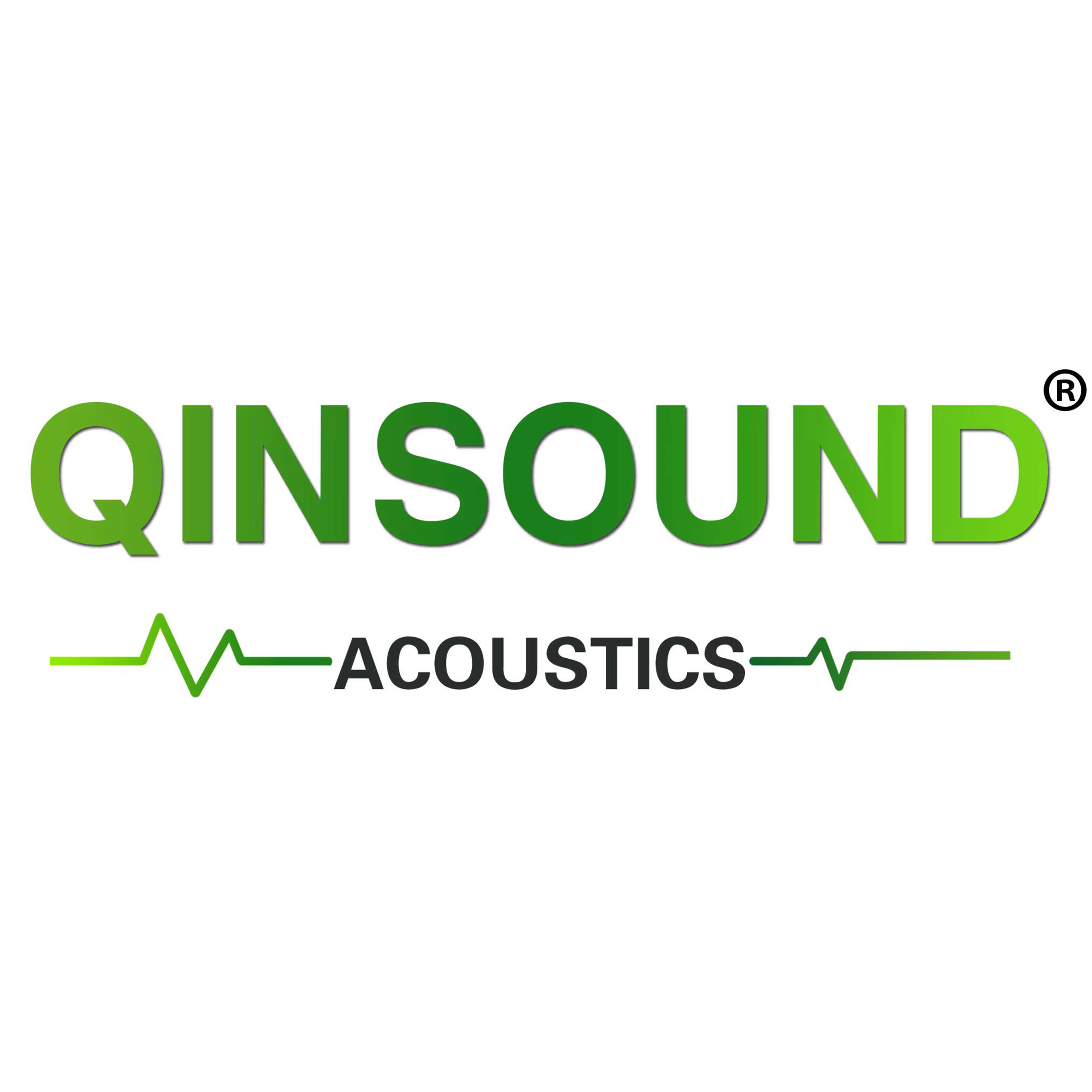 Guangzhou Qinsound Acoustics Technology Co., Ltd. logo