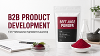 Poudre de jus de betterave pure de qualité GMP, anthocyanine, extrait de betterave rouge soluble dans l'eau pour complément alimentaire, vente en gros