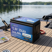 Batería Marina LiFePO4 de 100Ah 12V 200Ah, Batería de Litio de Ciclo Profundo para Barcos de Pesca, Motor de Arrastre, Barco Eléctrico, Fabricante OEM