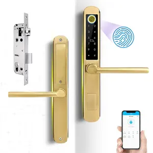 Elock pengunci pintu biometrik ES210F, kunci pintu emas menangani wifi tuya ttlock OEM/ODM kartu rfid tahan air aplikasi tahan air kunci pintu pintar