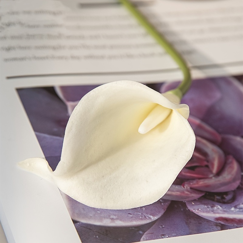 Noyau blanc W-aa-03-blanc laiteux