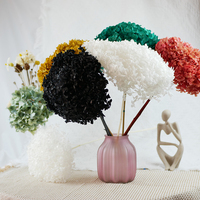 Haute qualité préservée vraies plantes hortensia sec fleurs séchées blanc pour toujours Anna fleur hortensia graines fleurs de mariage