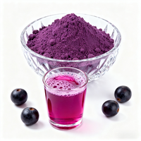 Poudre d'extrait de baies d'açaï de qualité alimentaire supérieure, pureté 99 %, pour la pâtisserie, les smoothies et les boissons – Naturelle, séchée par pulvérisation, emballée sous vide