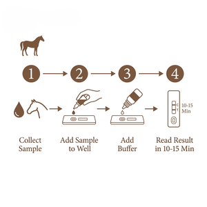 Kit <span class=keywords><strong>de</strong></span> test rapide d'anticorps pour la maladie <span class=keywords><strong>de</strong></span> Lyme équine pour le dépistage <span class=keywords><strong>de</strong></span> la Borrelia transmise par les tiques chez le cheval, OEM/ODM, vente en gros, 1 ou 25 tests - Product Image 3