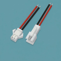Cable de Conexión de Cobre Estañado Duradero, Modelo SM2.54, Terminales de Acoplamiento 2P, Longitud Personalizable, para Pantallas LED y Fuentes de Alimentación