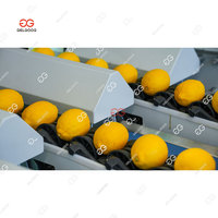 Fruit optische inspectie, citroenkleur sortering, sortering op basis van visuele detectie, oppervlaktecontrole van citroendefecten, sorteermachine