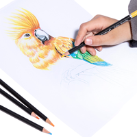 FLOWood – Coffret de 48 crayons de couleur professionnels à base d'huile, personnalisable, en boîte métallique, pour enfants, artistes, dessin et peinture