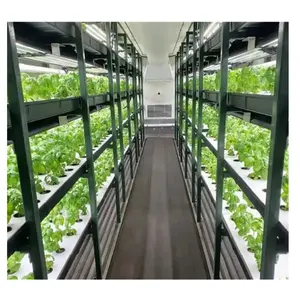 Shipping Container Hydroponic Container Greenhouse Hydroponic Container Farm