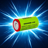 Batterie primaire ER26500M au lithium 3,6 V 2500 mA à décharge pulsée 6500 mAh