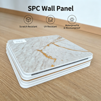 Panneau mural SPC couleur personnalisée, doré, étanche, durable, facile à installer pour la décoration extérieure et intérieure des hôtels et centres commerciaux