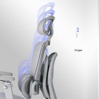Chaise de bureau ergonomique pour le gaming avec soutien lombaire double, accoudoirs réglables 6D, fonction inclinable, hauteur réglable, en acier inoxydable