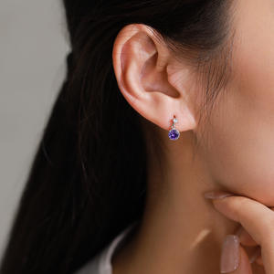 S925 Sterling Silver Elegant Purple Crystal Necklace and Earrings for Women - Simple, Versatile, and Elegant New Chinese Style - Product Image 6