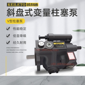 Pompe à piston variable axiale hydraulique YEOSHE série V de Taïwan V15A V18A V23A V38A <span class=keywords><strong>V50A</strong></span> 1 2 3 4-R10X - Product Image 2