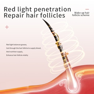 Peine de Masaje Eléctrico EMS con Vibración, Líquido Nutritivo para el Crecimiento del Cabello, Cepillo Anticaída, Peine de Tratamiento EMS para el Cuero Cabelludo, para Uso Doméstico - Product Image 5