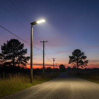Farolas LED para Alumbrado Público al por Mayor, Resistentes al Agua IP65, Resistentes al Calor, Resistentes a las Heladas, Fáciles de Instalar