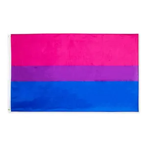 Drapeau gay 3x5 pieds, banderole couleur vif, en Stock d'usine, livraison gratuite