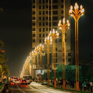 ไฟถนนมัลติเฮดดิ้งรูปดอกแมกโนเลียสีทองสำหรับโครงการเมืองอัจฉริยะเอธิโอเปีย ขายดีในแอฟริกา ใช้สำหรับตกแต่งภูมิทัศน์ในเมืองแอดดิสอาบาบา - Product Image 2