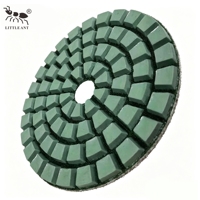 LITTLE ANT Disque de polissage diamanté 5 étapes pour sols en béton, tampon humide/sec, disque en résine de 4 pouces pour le traitement des bords du granit et du marbre
