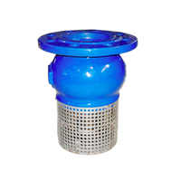 Katup Kaki Besi Ductile DN150 PN16 GGG50 dengan Strainer Baja Tahan Karat, Struktur Akar, Sambungan Flens, Standar BS EN 593