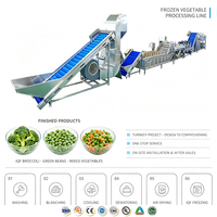 Industriële IQF-vriesgroente productielijn, automatische groenteverwerkings- en vriesapparatuur