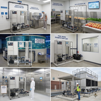 Flygoo Generator air ozon Filter Ras terbalik sistem tanaman Filter air Osmosis untuk perawatan air limbah industri