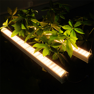 Meijiu IP65 Waterproof Daisy <b>Chain</b> Led Winter Supplement Lighting Under Canopy Grow Light for Indoor Agriculture Lighting - Product Image 1
