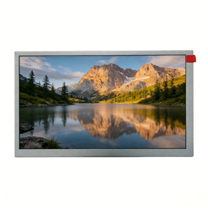 Módulo LCD Directo de Fábrica, Pantalla TN de 8 Pulgadas, Resolución 1024*600, 300 cd/m, para Publicidad, Uso Industrial/Comercial - Product Image 3