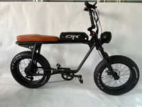 Batería de Litio OEM ODM de 10 Ah para Bicicleta Eléctrica, 36 V, 48 V, 250 W, 350 W, 500 W