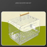 Cage de voyage transparente en acrylique pour petits animaux, boîte de transport portable pour perroquet, hamster, cochon d'Inde - Vente en gros