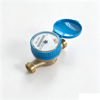 Daily Use Domestic Cold Single Jet Digital IP68 Brass DN15 Dry Dial OEM RUIYANG Water Meter