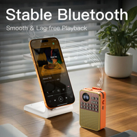 P63 Meilleurs cadeaux, haut-parleur portable rechargeable pour cinéma maison, extérieur, sans fil, mini, prend en charge la radio FM/carte TF/AUX