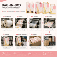 Sac en plastique Bag-in-Box 3L 5L 10L de qualité alimentaire avec valve pour eau potable, vin, jus, lait, bec verseur, imprimé en héliogravure, recyclable