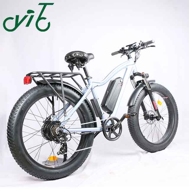 Enduro Fat Tyre E Bike with High Power Electric 48V 750w\1000w Motor Bike with Shimano Shift Gear and Disc Brake