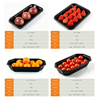 Barquette alimentaire jetable en PET légère, rectangulaire ouverte, pour produits frais, qualité alimentaire certifiée ISO14001, pour sushis et chocolats