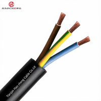 Kabel Tambang Multicore Fleksibel Berlapis Karet Tembaga MZ untuk Bor Listrik Bawah Tanah 0.3/0.5kV