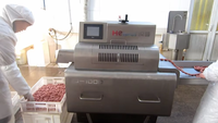 Machine de traitement de saucisses multifonctionnelle, coupe-saucisses cuites haute vitesse, séparateur de saucisses et d'œufs en acier inoxydable, fabricant