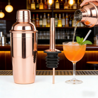Ensemble de barman professionnel en acier inoxydable, verseur d'alcool, shaker à cocktails, doseur, logo personnalisé - Durable et écologique
