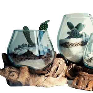 Benutzer definierte unregelmäßige Formen Glas vasen Terrarien Holz Tretlager DIY Geschenk pflanzung Grow <span class=keywords><strong>Terrarium</strong></span> Kit für Kinder - Product Image 1