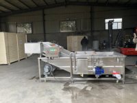 Volledig automatische groente- en fruitwasmachine met PLC-besturing, food grade, capaciteit 500 kg/uur, voor groenteverwerking.