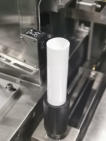 Machine de remplissage et de scellage semi-automatique pour tubes rotatifs de crème, huile et dentifrice avec impression de date