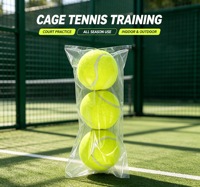 Ballon de padel d'entraînement standard international, 57% feutre de laine, haute élasticité, durable, en sac