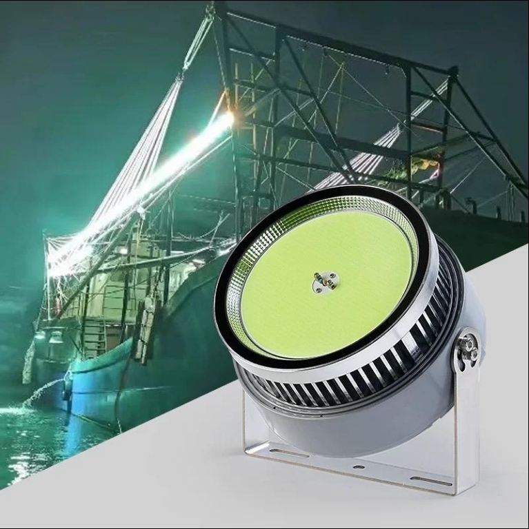 High Brightness 1000 Watt LED Fishing