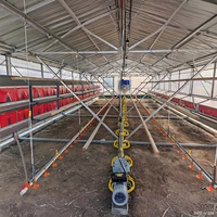 Poulailler mobile pour poulets de chair avec roues, système d'alimentation et d'abreuvement automatique, rotation des enclos, garantie 1 an