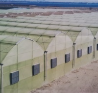 Couverture de serre en plastique LDPE anti-UV 200 microns pour l'agriculture